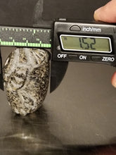 Load image into Gallery viewer, Yooperlites Owl Carving #8