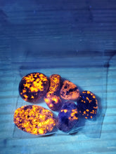 Load image into Gallery viewer, Mini Yooperlites Glow Bag - 0.5 ounce bag of Mini Yooperlites