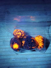 Load image into Gallery viewer, Mini Yooperlites Glow Bag - 0.5 ounce bag of Mini Yooperlites