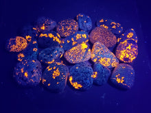 Load image into Gallery viewer, 1 Pound Bag of Yooperlites