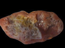 Load image into Gallery viewer, A-3 Lake Superior agate 1.8oz Red &amp; White