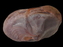 Load image into Gallery viewer, A-5 Lake Superior agate 3.2 oz Thumbprint banding