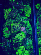 Load image into Gallery viewer, Willemite Chunks (Longwave 365nm) reactive