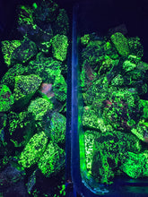 Load image into Gallery viewer, Willemite Chunks (Longwave 365nm) reactive