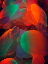 Load image into Gallery viewer, Small Rainbow Onyx Turtle