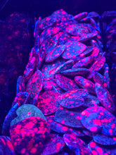 Load image into Gallery viewer, Ruby in Albite Heart