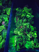 Load image into Gallery viewer, Willemite Chunks (Longwave 365nm) reactive