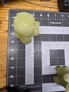 5 inch Glow in the Dark Poodle Dog