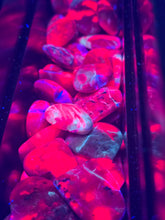 Load image into Gallery viewer, Small Rby in Cordorite Heart