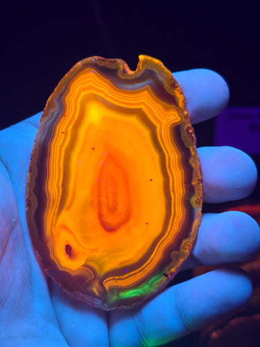 Dyed Brazilian Agate slice