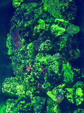 Load image into Gallery viewer, Willemite Chunks (Longwave 365nm) reactive