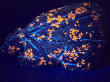 Load image into Gallery viewer, X-Large Yooperlites Dragon Carving zuni