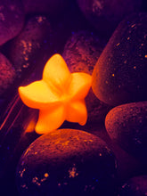 Load image into Gallery viewer, Magic Crystal Star