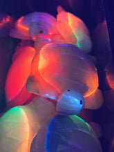 Load image into Gallery viewer, Large Rainbow Onyx Turtle