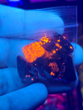 Load image into Gallery viewer, Half ounce bag of Mini Yooperlite Chunks