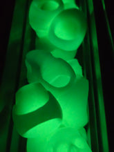 Load image into Gallery viewer, Skull Glow Ring