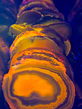Load image into Gallery viewer, Dyed Brazilian Agate slice